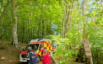 Einsatz THWAY – Person in Wasser – Freitag, 16. Mai 2025