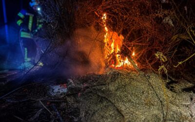 Einsatz FEUER Klein im WALD – 19. August 2026, 21.22 Uhr